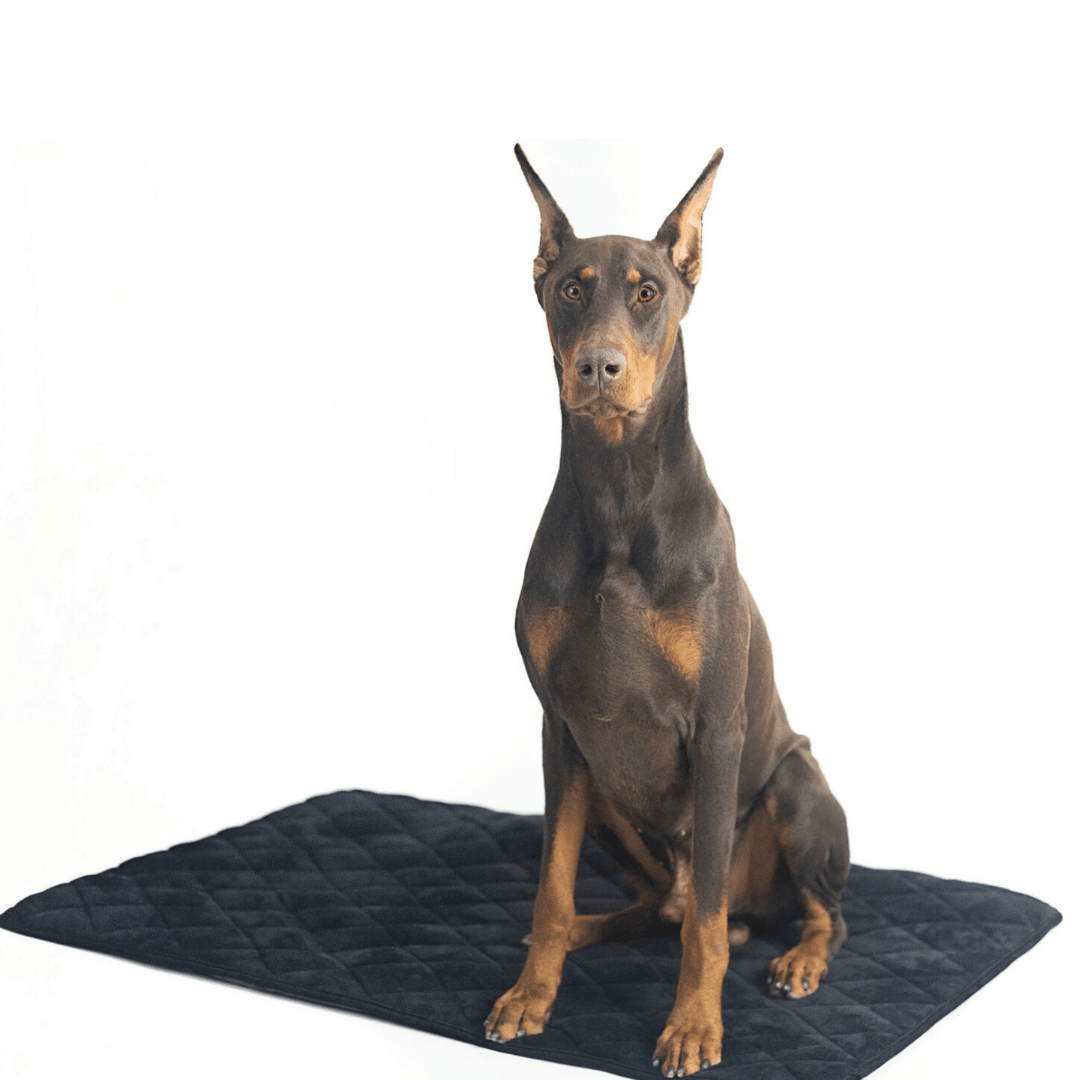 4Knines - Wholesale Pet Blanket - Dog - Crate Mat / Travel Bed0