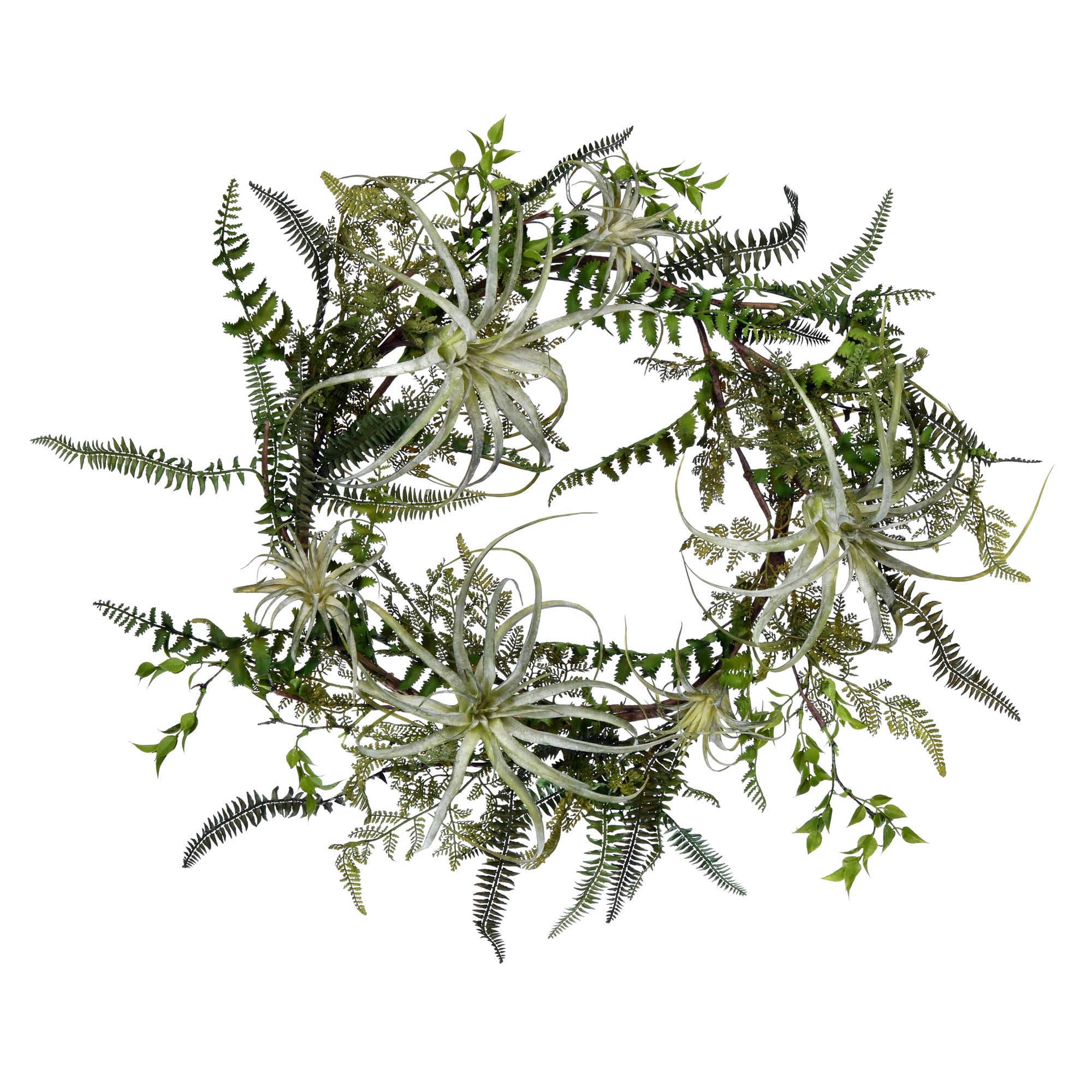 Vickerman 24" Artificial Green Fern Wreath. for wholesale on Faire0