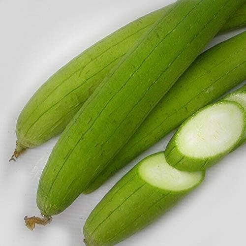 The Rike - Wholesale Plant Seeds - Luffa Seeds Sponge Gourd Ghosaval Loofa 3 pack x 40 Seeds3