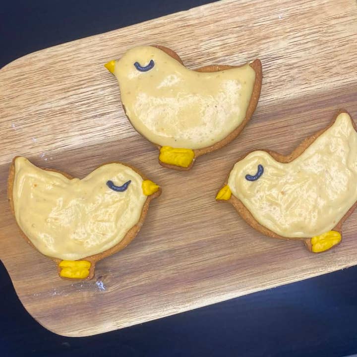 Iced Chick Biscuits for wholesale by Canine Creations Cheshire