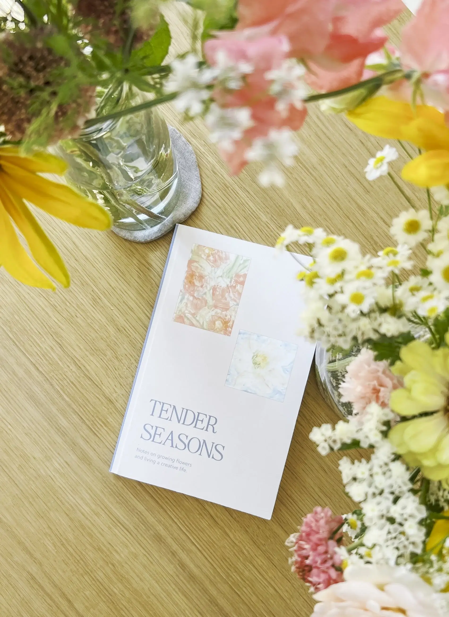 Neets - Wholesale Book - Adult - Tender Seasons Book1