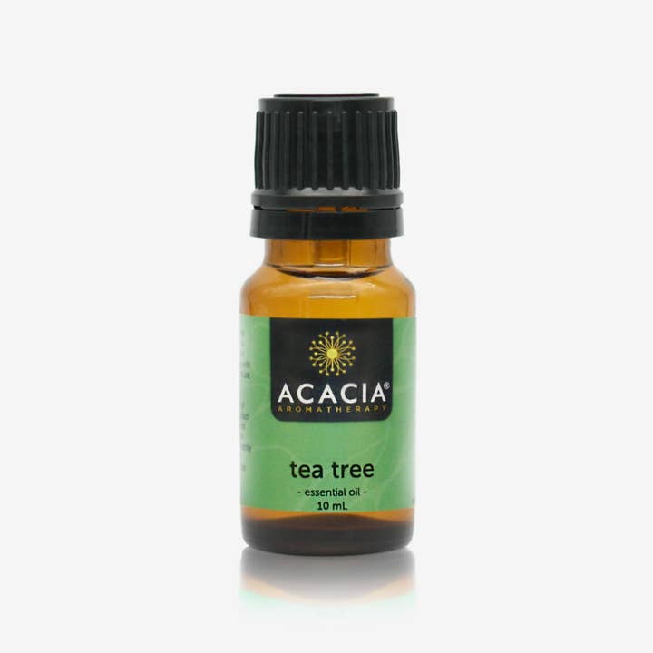 Tea Tree Pure Essential Oil 10mL for wholesale by Acacia Aromatherapy