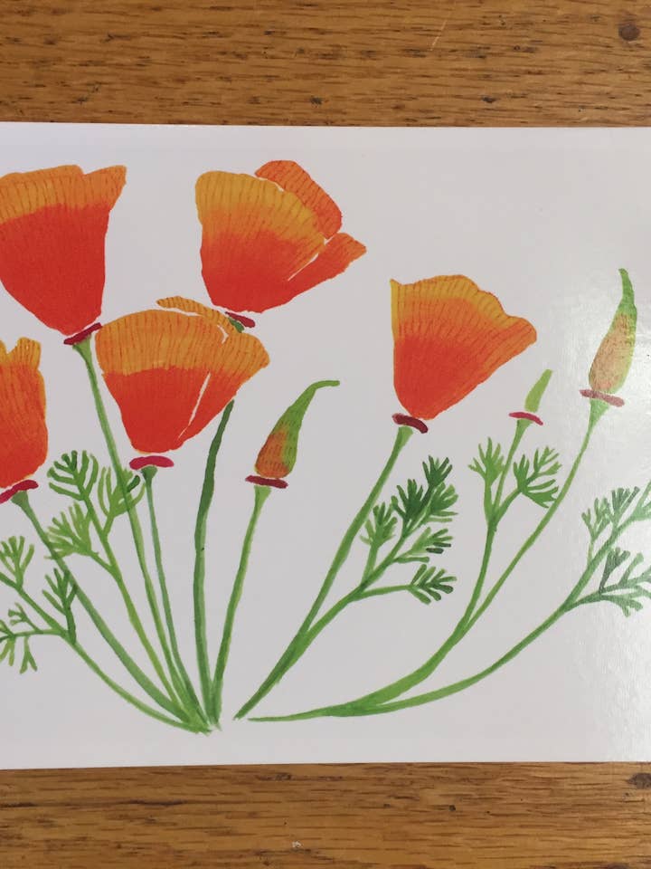 California Poppy Greeting Card for wholesale by Kieren Dutcher Illustration