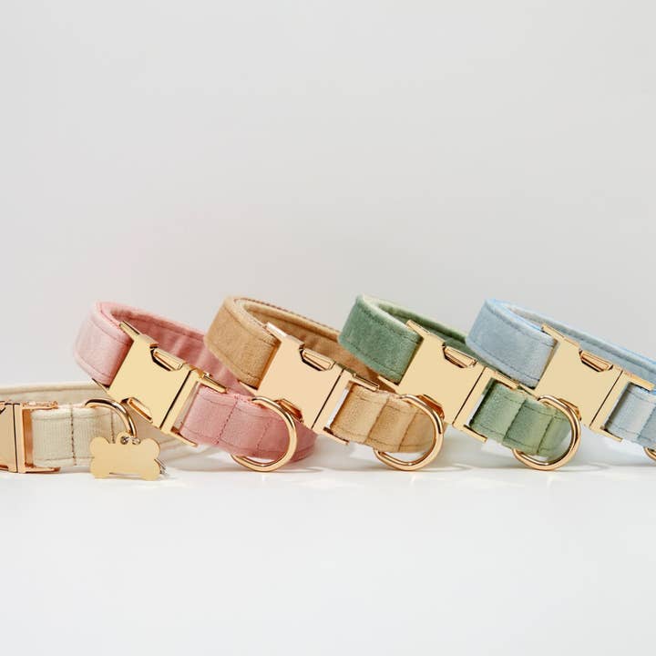 BOBOPUP - Wholesale Pet collar – Dog - Personalized Dog Collar Leash Set with Engraved Name (Copy)2