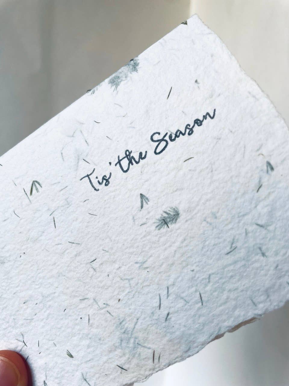 Atelier By Cat - Wholesale Notebook - mini Fern Paper Notebook Eco-Friendly, Goods, Plant Gifts14