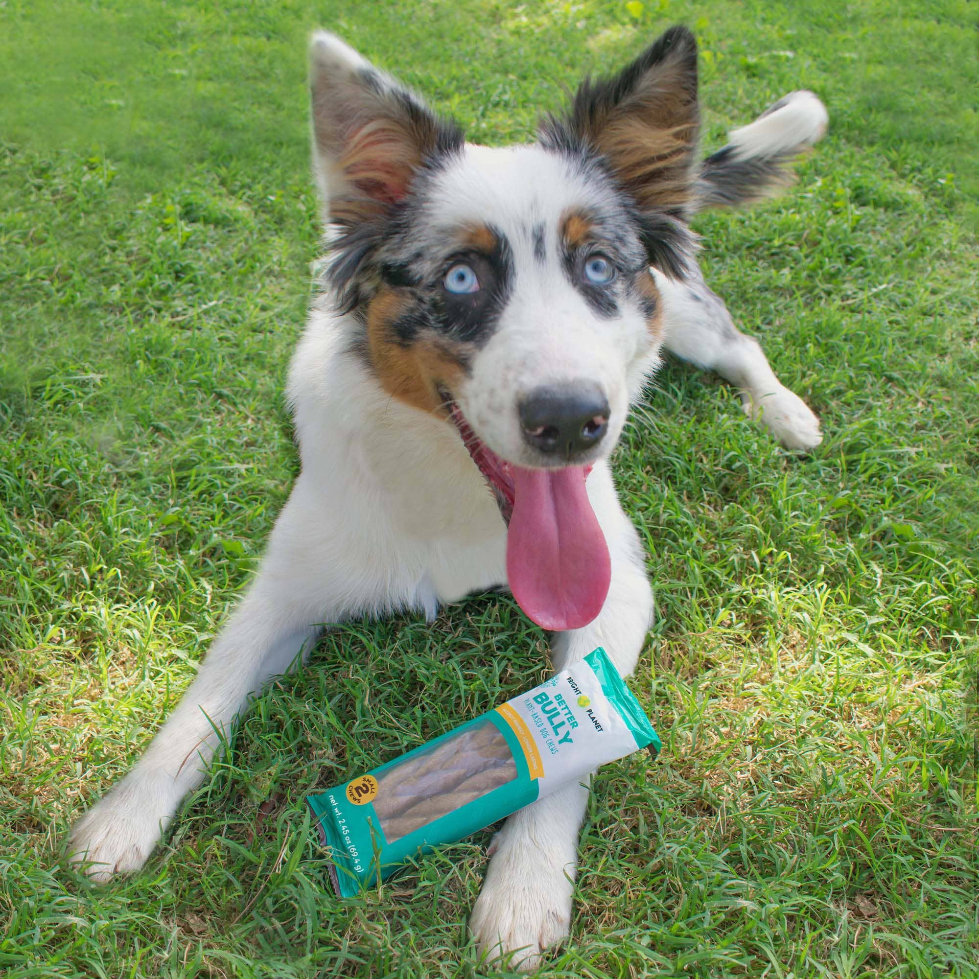 Bright Planet Pet - Wholesale Pet Bone/Rawhide - Dog - Better Bully Chews 2ct Small6