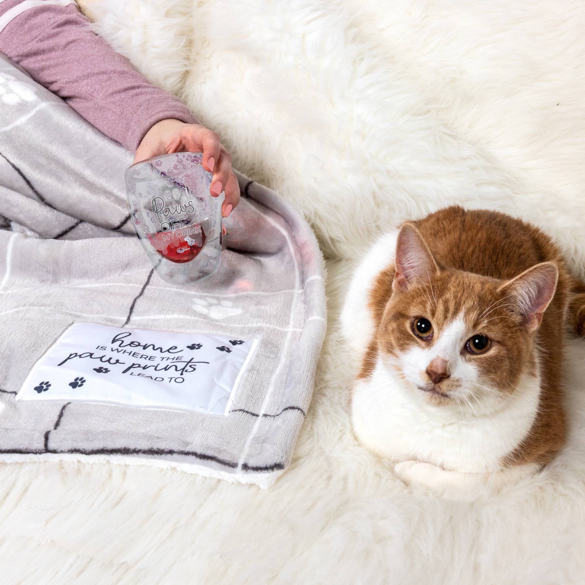 Pavilion - Wholesale Wine Glass - Paws Off - 10 oz  Double-Walled Stemless Wine Glass1