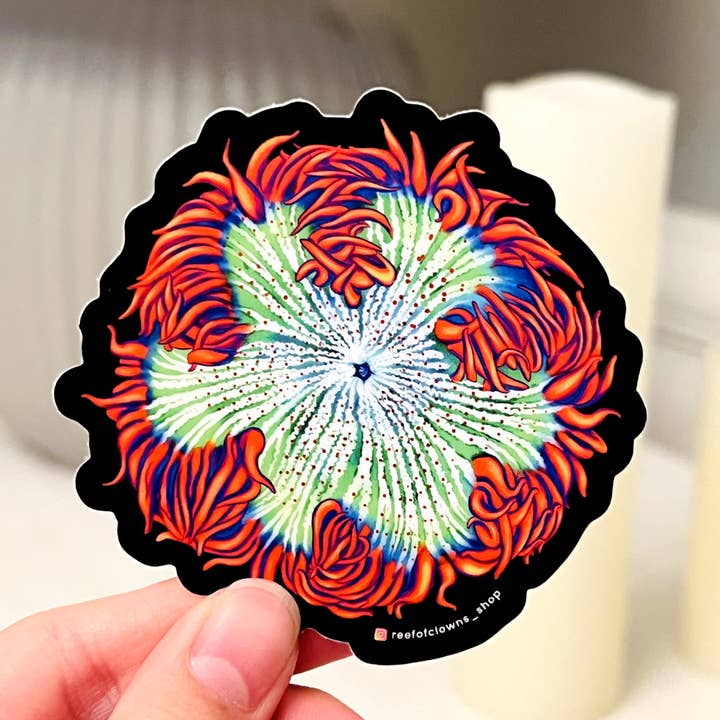 Red Rockflower Anemone Sticker | Coral Reef, Fish Tank for wholesale by Reef of Clowns