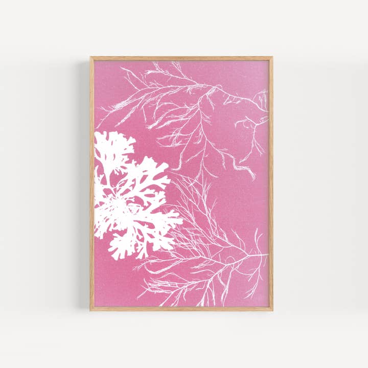 Paper Birch - Wholesale Kunstprint - ROZE zeewier kunstdruk | Kustdecor | Wier & Siphon Weed