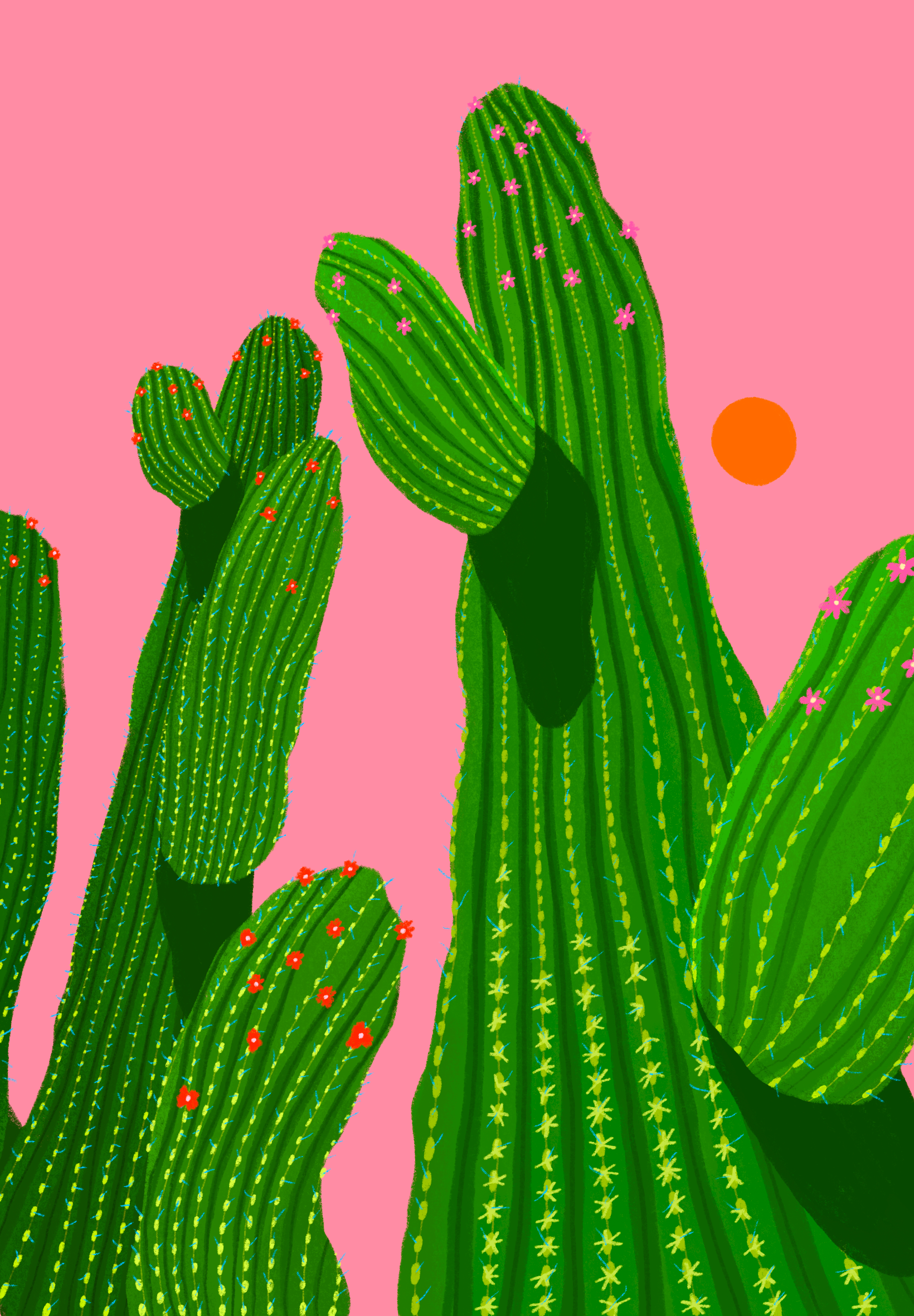 Emily Palmer Illustration - Wholesale Art Print - Illustrated Wall Art Print -  Pink Cactus2