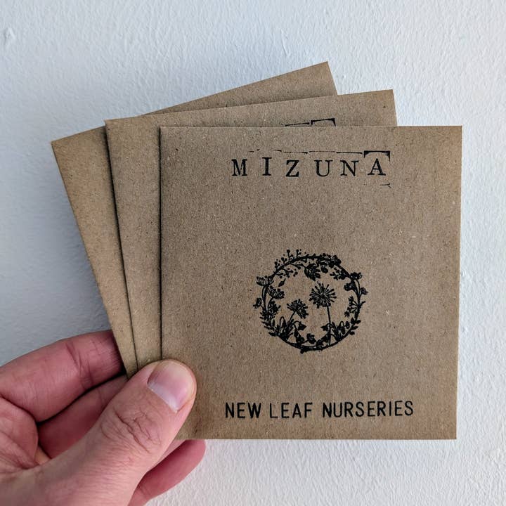 New Leaf Nurseries – wholesale Plant seeds – Mizuna Seeds0