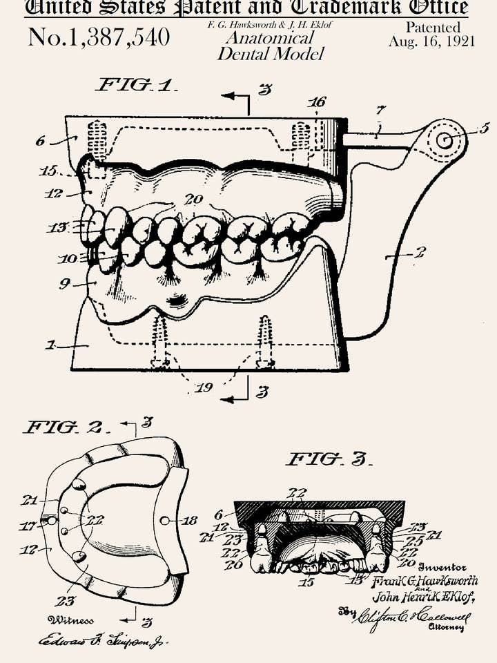 Anatomisk tandmodel Hverdags lykønskningskort for engroshandel hos PATENT PRESS GREETING CARDS