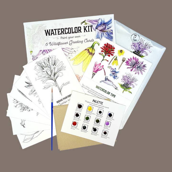 Akvarell Gratulationskort Kit - Vildblomma 6 Kort för wholesale av Madrona Press