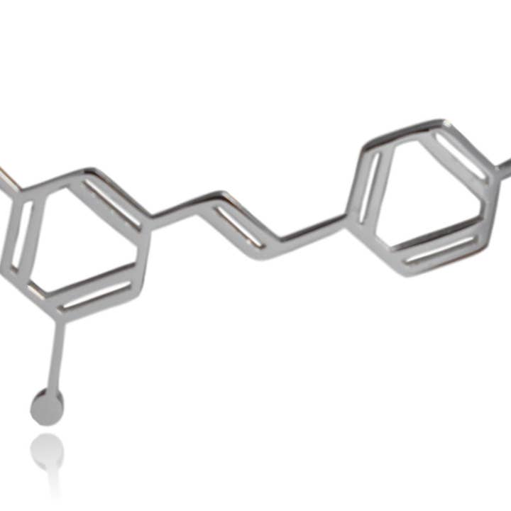Clayton Jewelry Labs - Vendita all'ingrosso Collana con ciondolo/pendaglio - Collana in acciaio inossidabile con molecola di resveratrolo di vino6