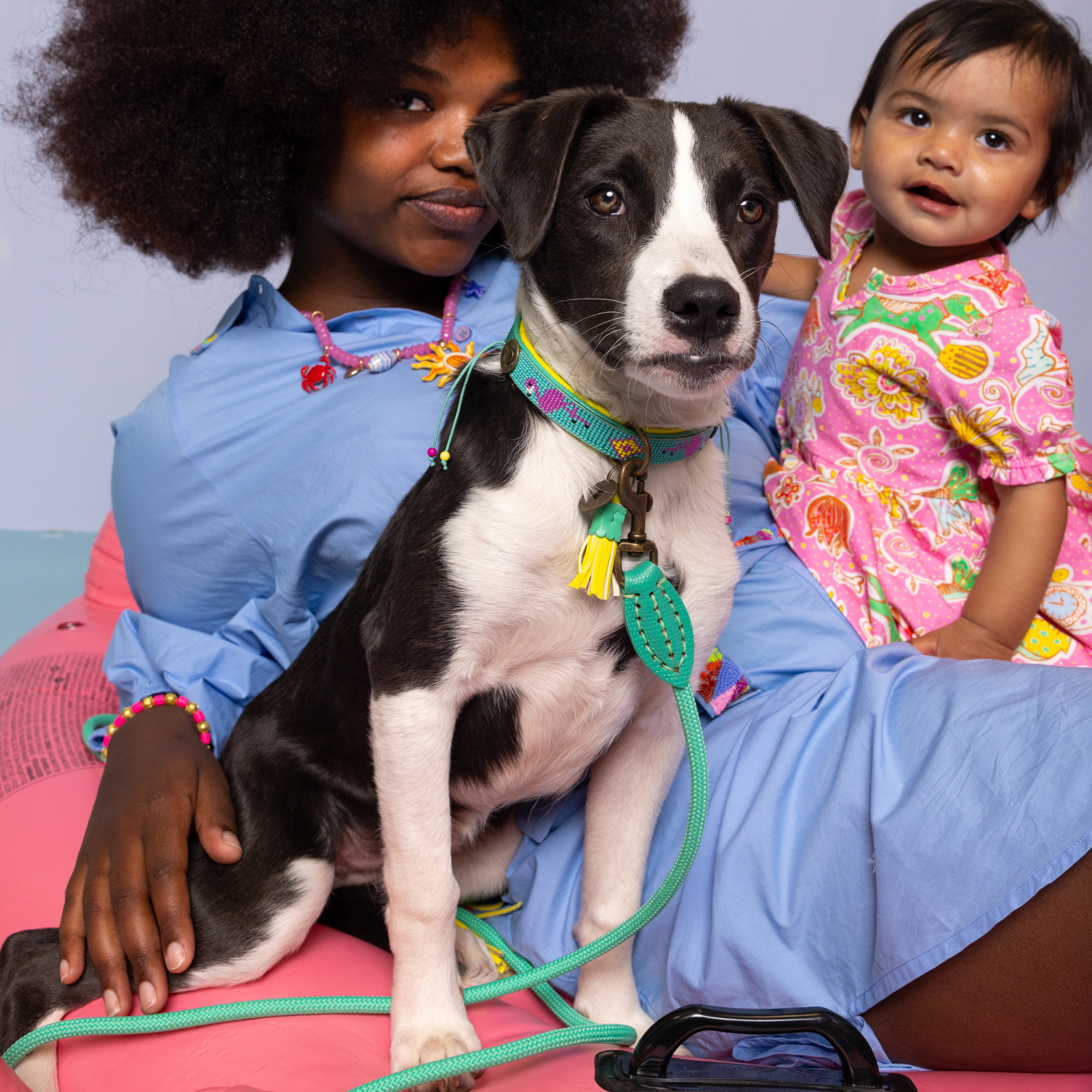 Dog with a Mission - Venta al por mayor Collar - Perros - Collar Chogogo7