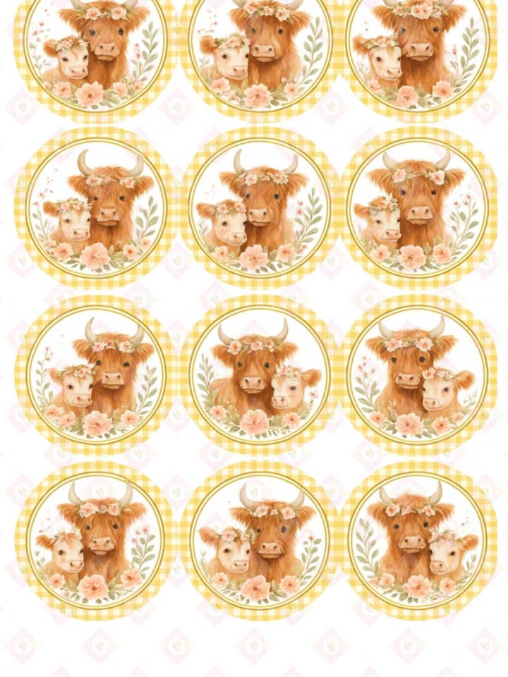 Moo Cow Collection for wholesale by Sunshine Boxes