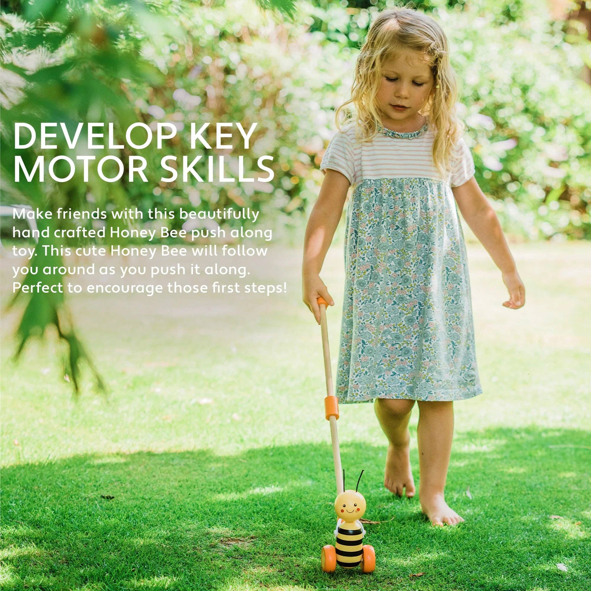 Orange Tree Toys - Wholesale Wood Toy - Kids - Boxed Wooden Push Along Honey Bee3