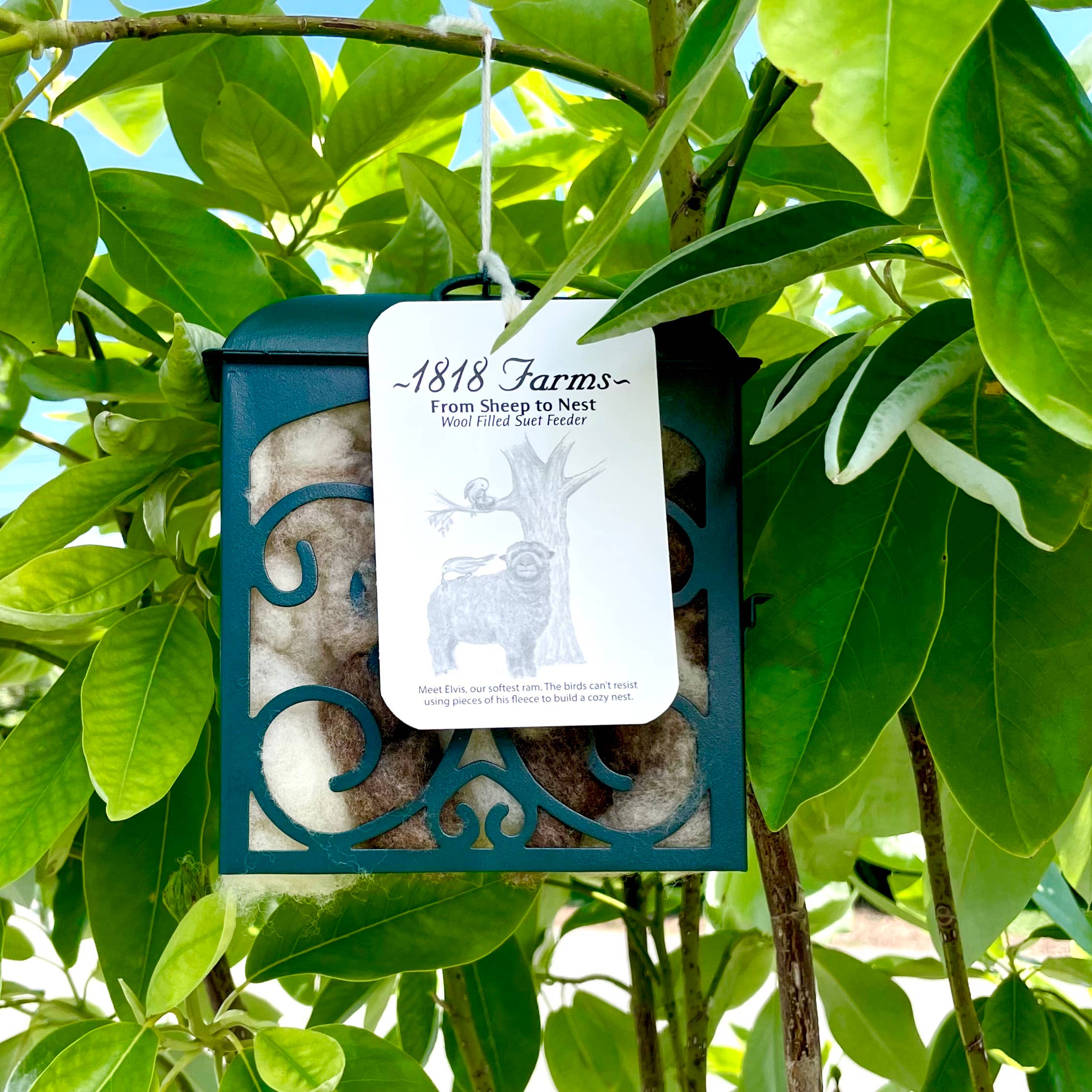 1818 Farms - Wholesale Bird Feeder - Wool Filled Suet Feeder2