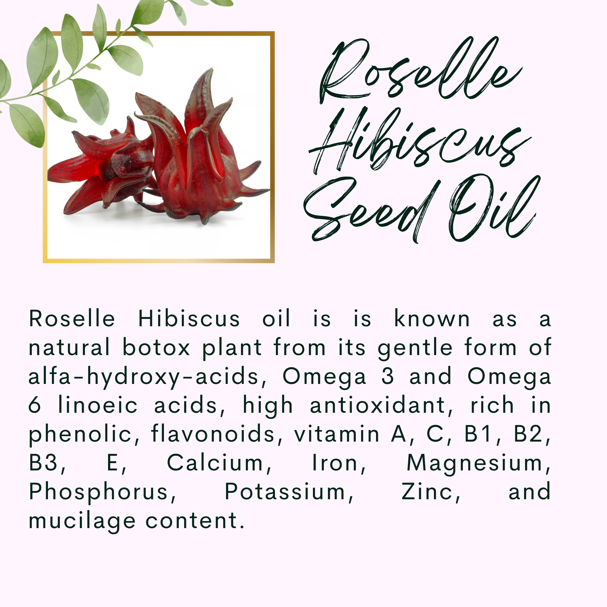 The Sacred Essence - Wholesale Hair Serum - CHAKRA - Hibiscus Trinity Ayurveda Hair Serum4