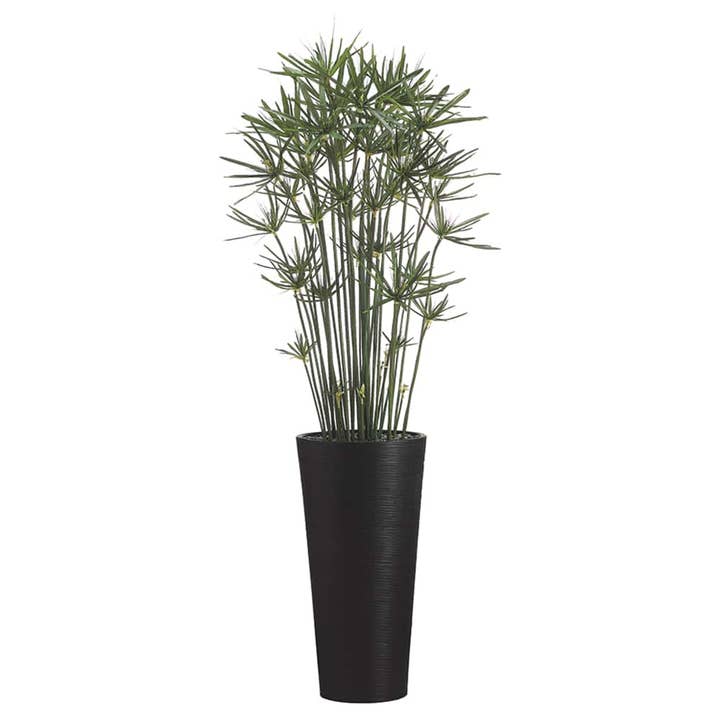 7.5'H Cypress in Bamboo Tall Container Green for wholesale by Silk Flower Depot