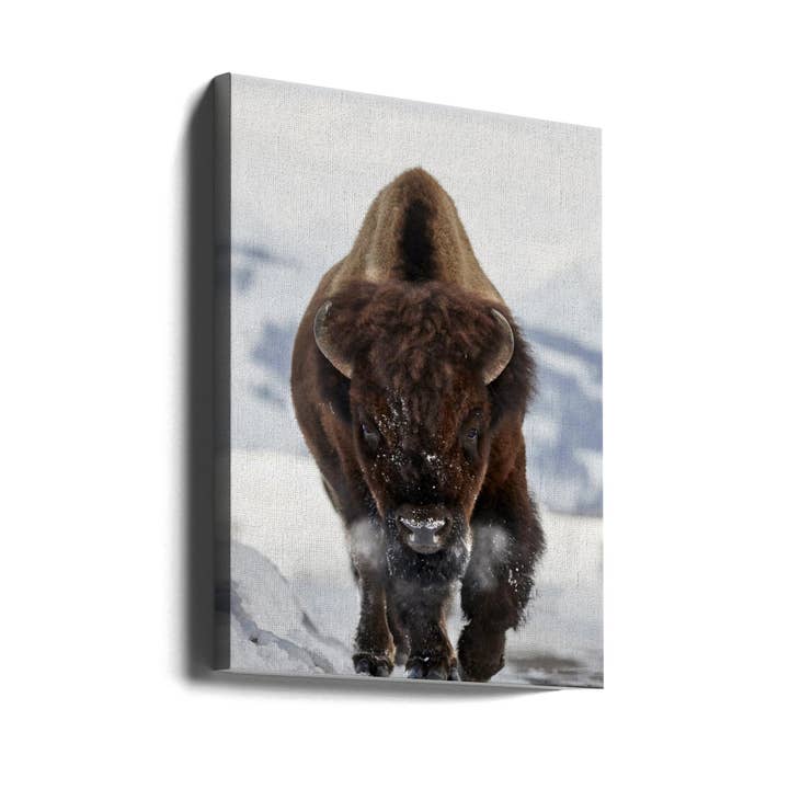Wall Art Bison Incoming for wholesale by GTA ART
