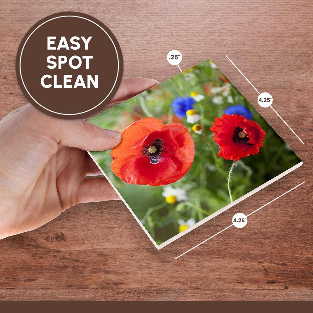 3dRose - Wholesale Coasters - 3dRose, Image of Poppy Flower Close Up, Coaster6