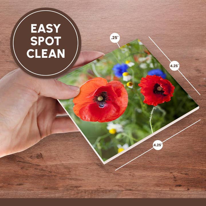 3dRose - Wholesale Coasters - 3dRose, Image of Poppy Flower Close Up, Coaster6