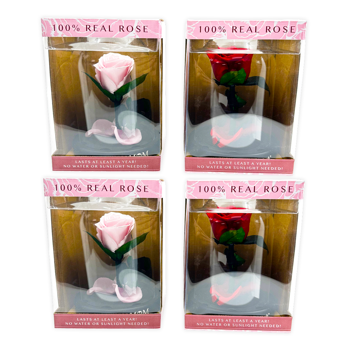 Novelty Brands - Wholesale Retailer Display - Home & Living - Real JUMBO Preserved Rose Keepsake Glass Gift - 4/Display3