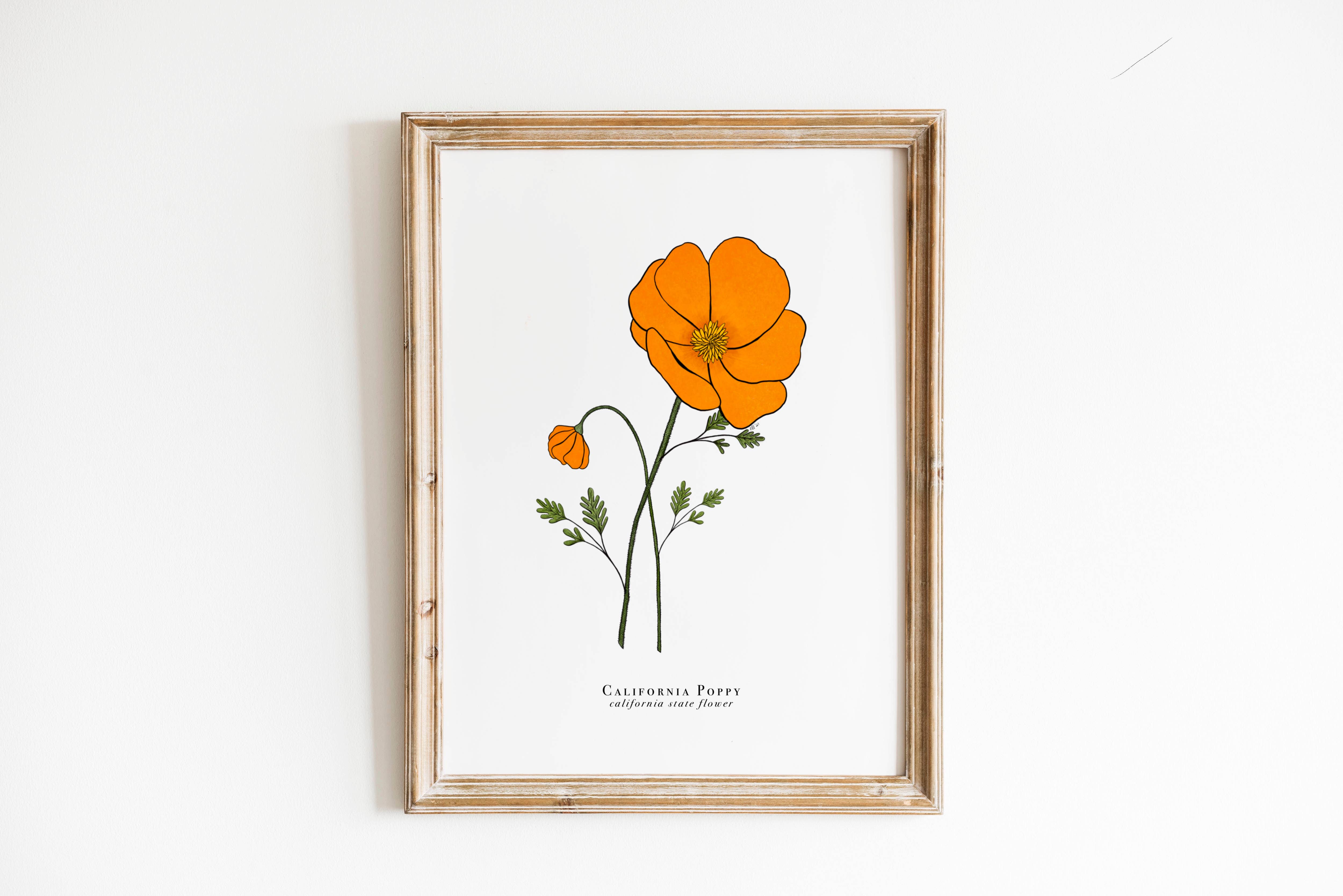 Erika Layne Art – wholesale Art print – California State Flower Print | California Poppy Print