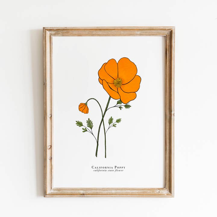 Erika Layne Art - Wholesale Art Print - California State Flower Print | California Poppy Print