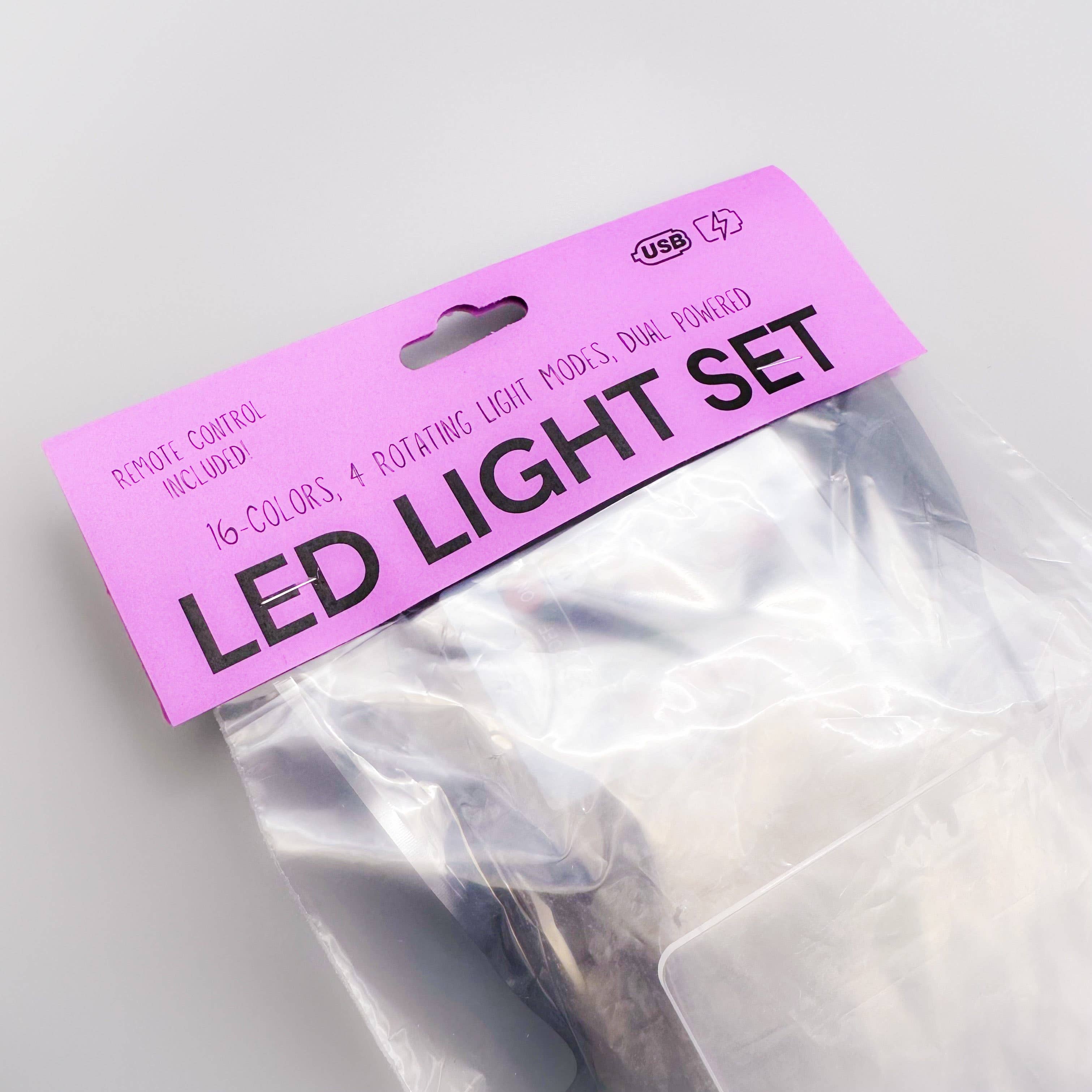 The 308 Collective - Wholesale Accent/Desk Lamp - Dolphin LED Lamp | Marine Life Swimming Dolphins Light15