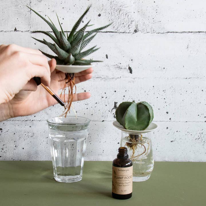 Botanopia USA - gifts , decor and cards for plant lovers - Wholesale Fertilizer - Complete Organic Plant Food -1.7 fl oz (50ml)3