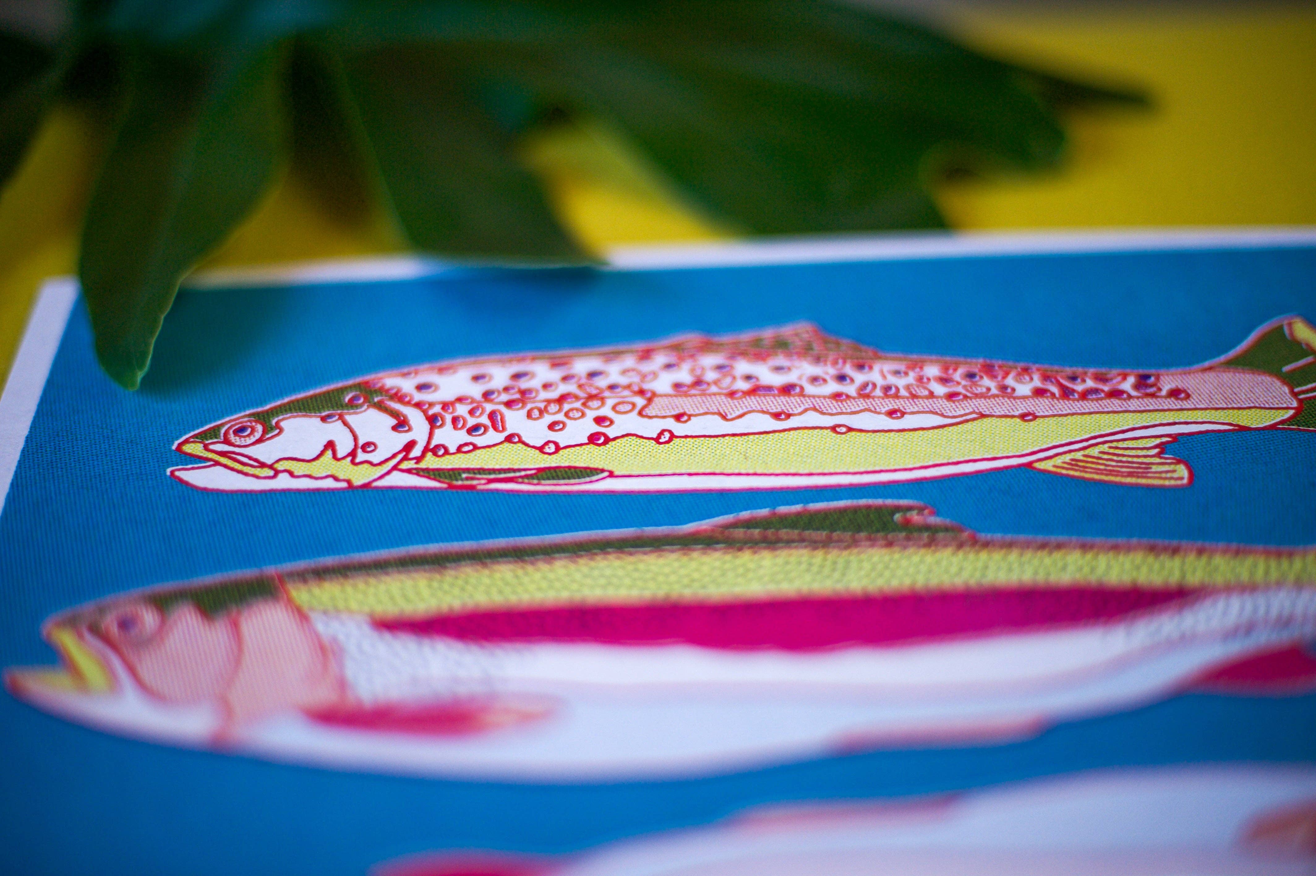 Caroline Clark – wholesale Art print – Trout Fish Art Print6