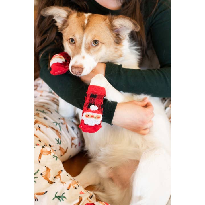 Pearhead - Wholesale Pet Socks - Dog - Human and Dog Matching Christmas Sock Set, Santa
