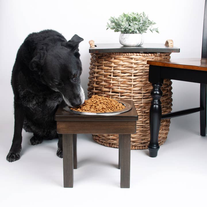 Ozarks Fehr Trade Originals - Wholesale Pet Bowl - Cat/Dog - 12" Tall, Medium Single Bowl Raised Feeder for Dogs