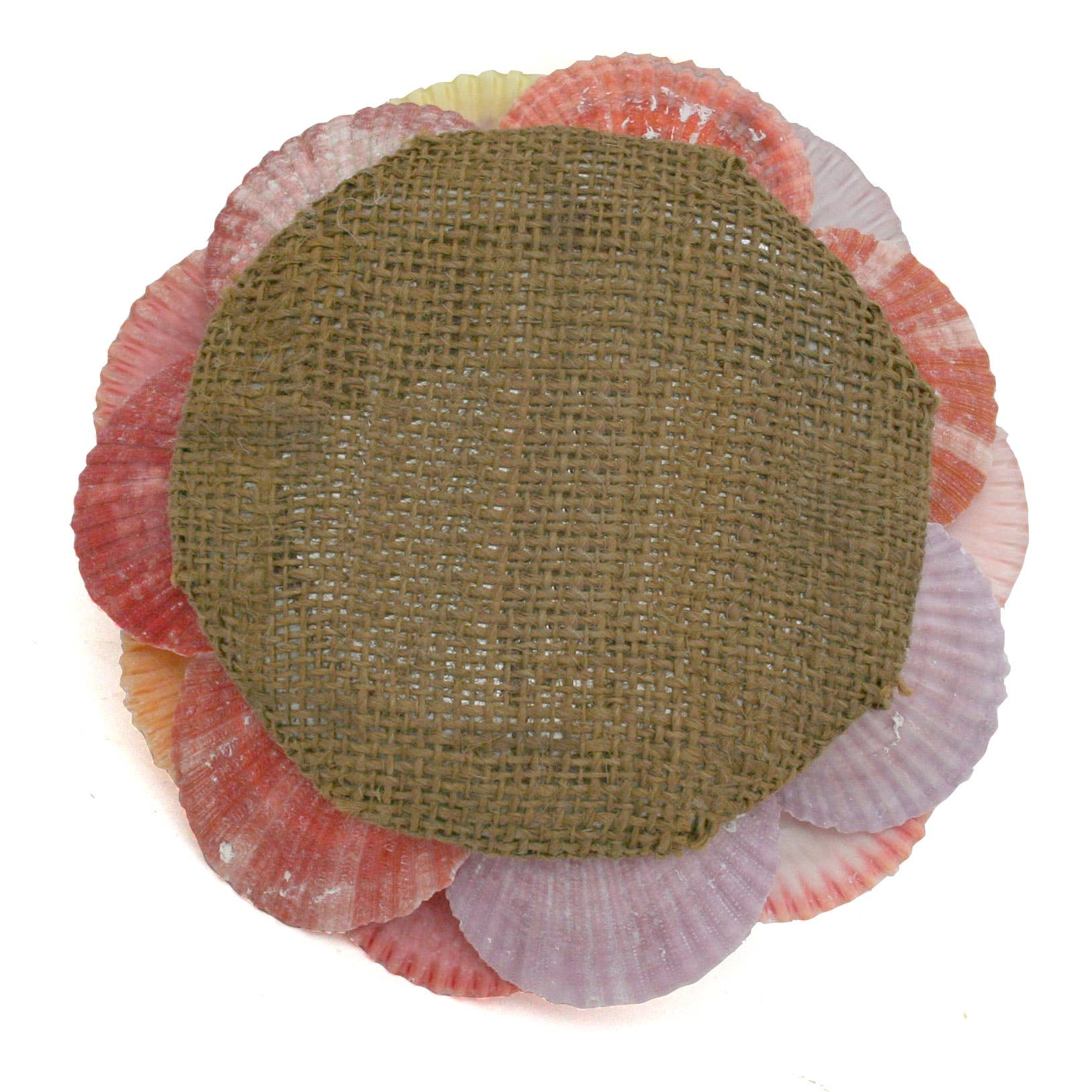 Modern Coastal by Contrast Inc. - Venta al por mayor Candelabros - Portavelas de vidrio Scallop Shell2