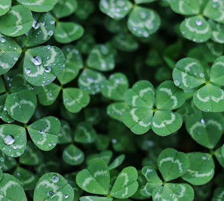 Barefoot on the Bay – Pulseira de missangas por atacado – Coleção irlandesa - pulseiras de infinito de mármore Connemara11