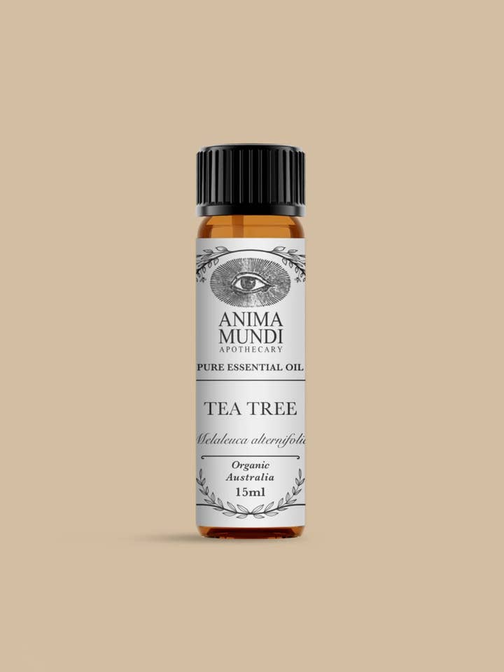 TEA TREE Essential Oil | Organic for wholesale by Anima Mundi Apothecary