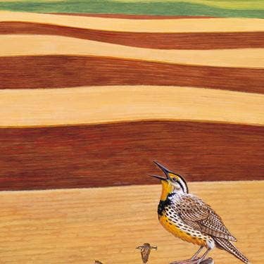 Frame of Mind - Wholesale Stationery/Notecard Set - Symphony 2002 - The Spirit of Patriotism - Note Card1