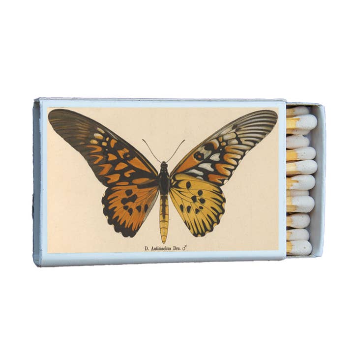 Butterfly Antimachus Matchbox • Candle Accessories • Matches for wholesale by Most Amazing