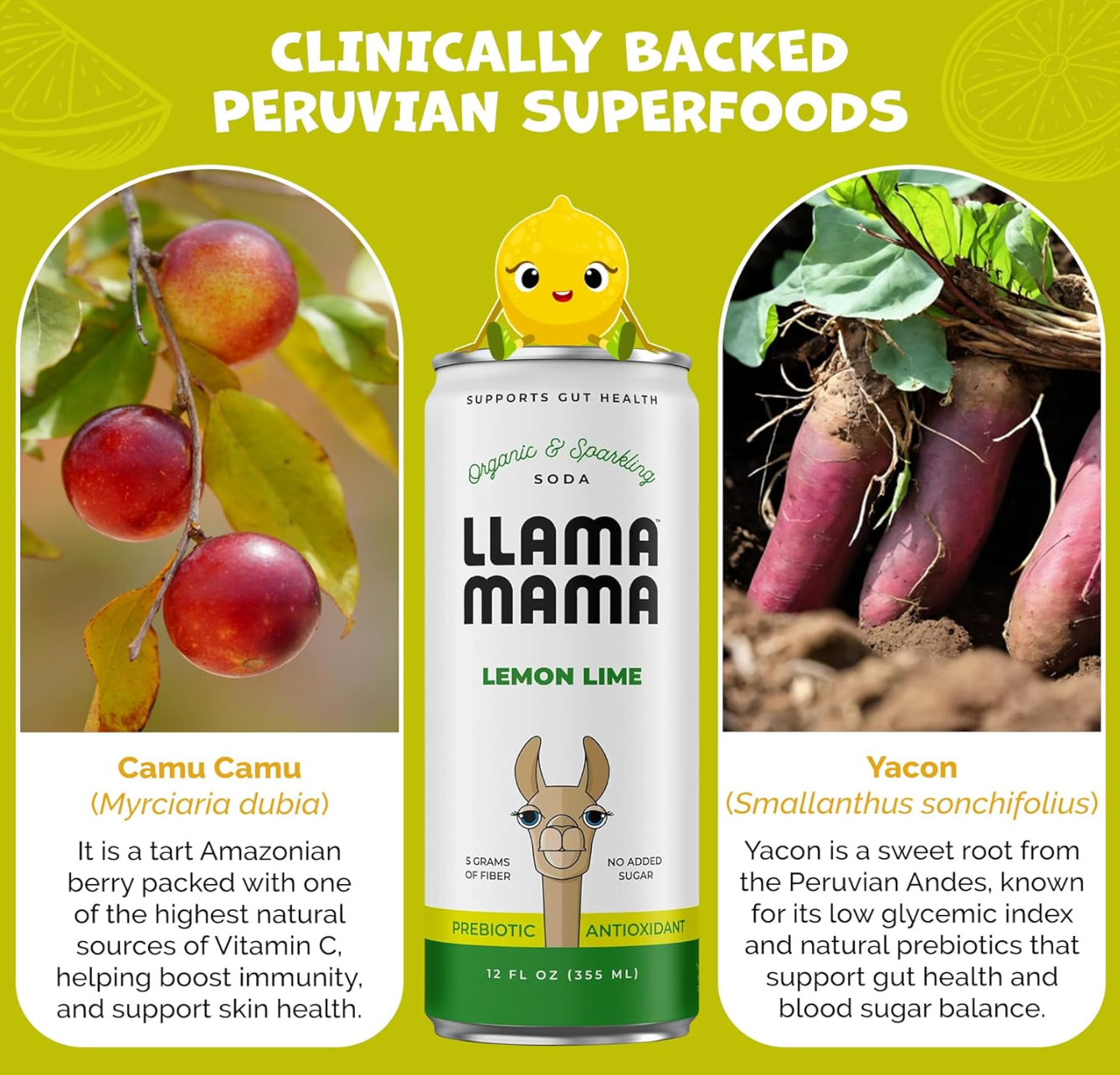 Llama Mama - Wholesale Soda/Carbonated Drink - Lemon Lime5