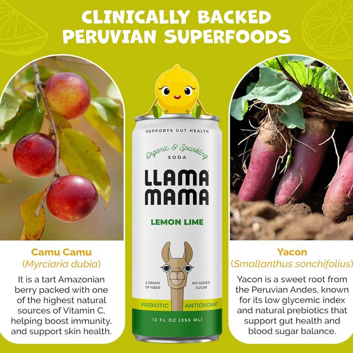 Llama Mama - Wholesale Soda/carbonated drink - Lemon Lime5