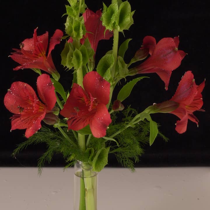 JBK Pottery - Wholesale Vase - Flower Bud Vase Base - Terracotta & Antique White(6 of each)2