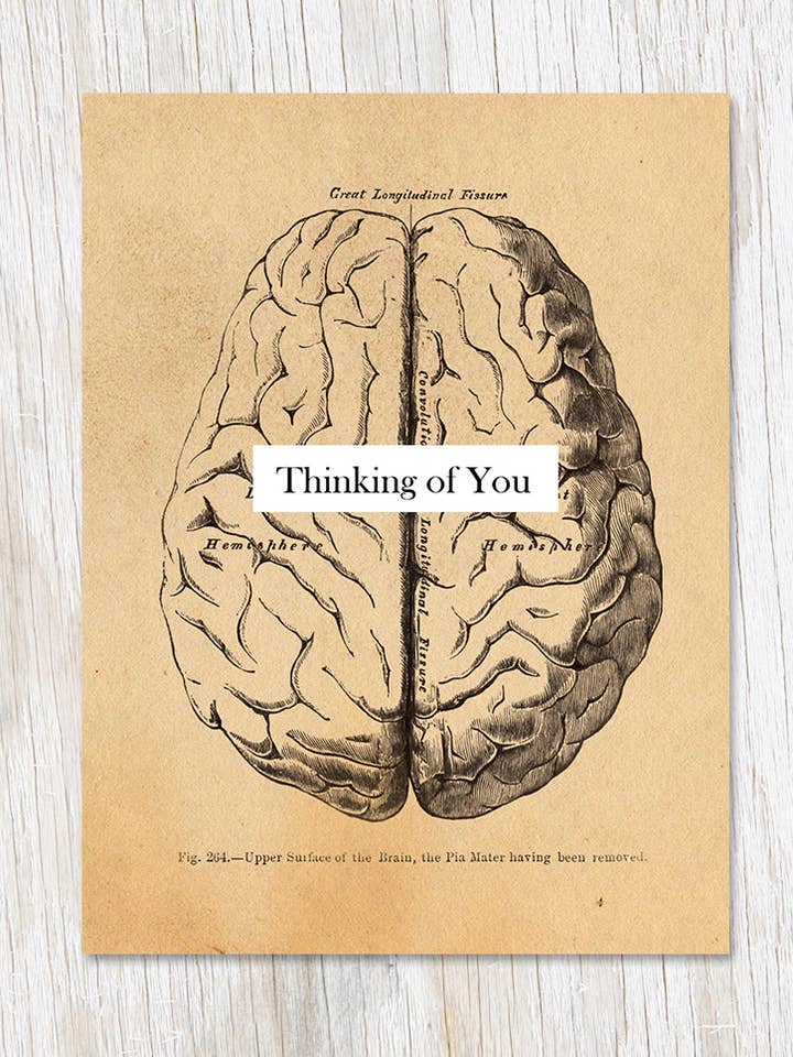 A Pensar em Ti: Cartão Vintage de Cérebro (Caixa de 6) por atacado de Cognitive Surplus