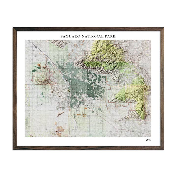 Carte du relief du Saguaro pour la vente par Muir Way