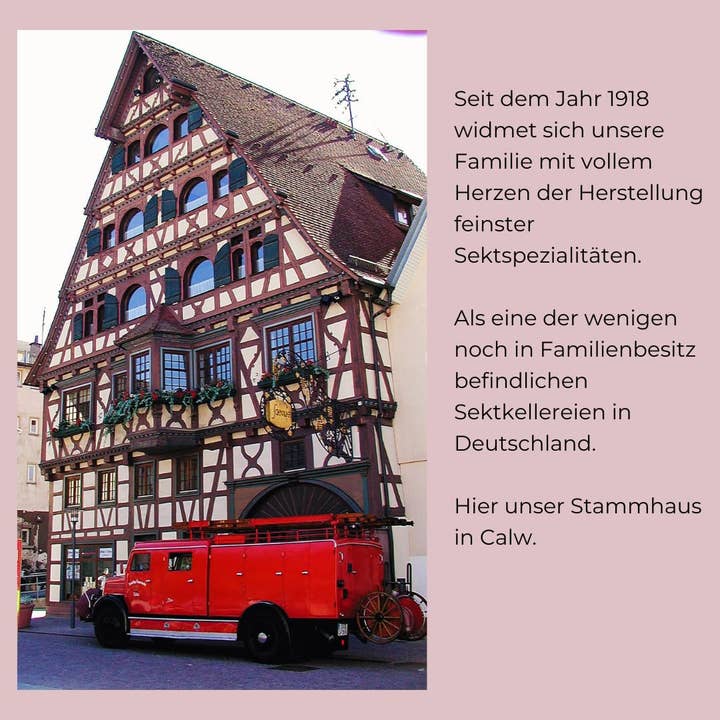 Justbe modern wine drinks - Wholesale Rose Wine - Schnaufer Pinot Rosé Brut – Premium vintage rosé 5