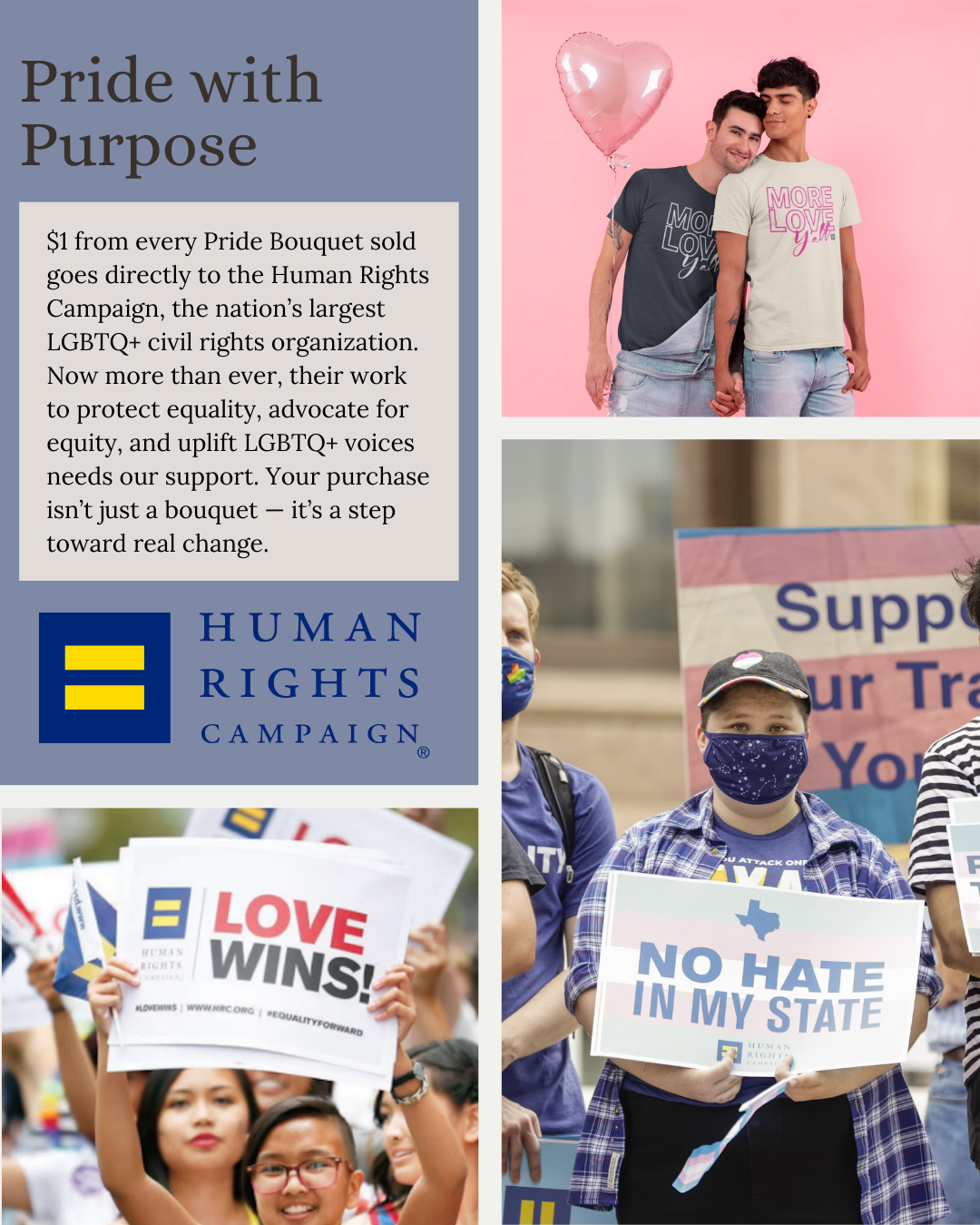 The Gardeners Wife - Wholesale Dried/Pressed Flowers - PRIDE Bouquets9