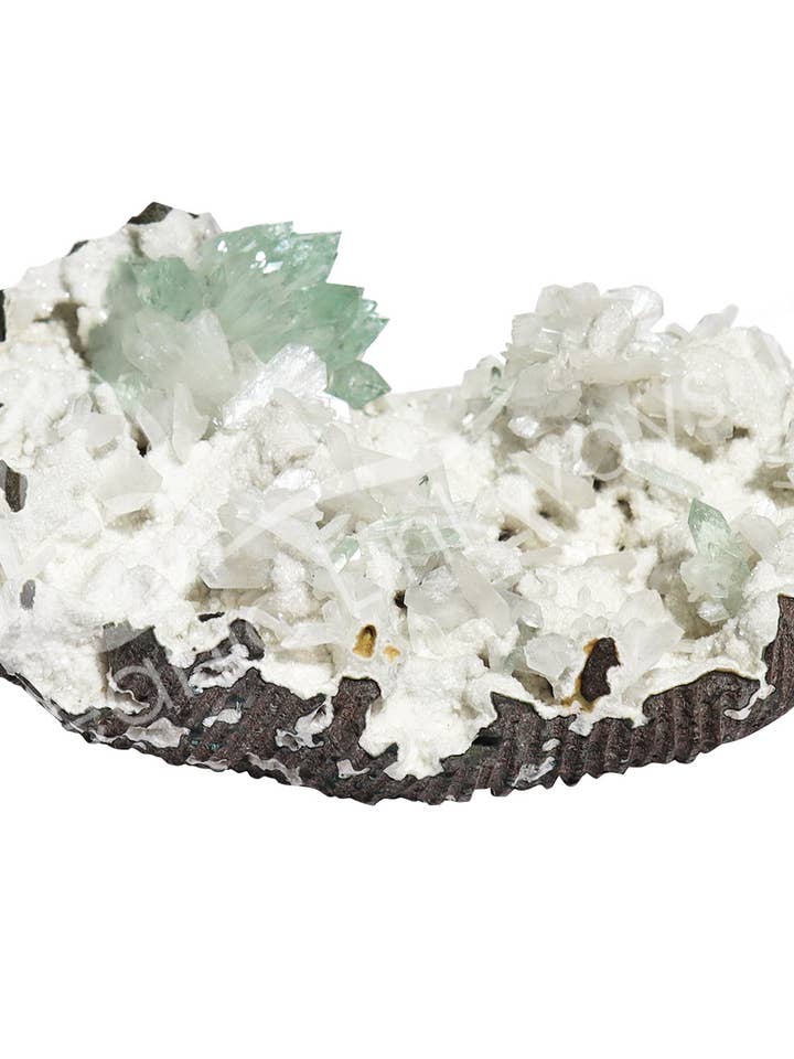 (PC)CLUSTER - APOPHYLLITE, VERT & STILBITE 3 X 4 X 1,5" pour la vente par Oceanic Linkways Inc