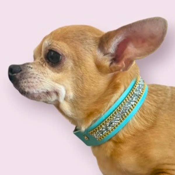 Bark Fifth Avenue - Wholesale Pet Collar - Cat/Dog - The Monte Carlo Collar in Sniffany Blue4