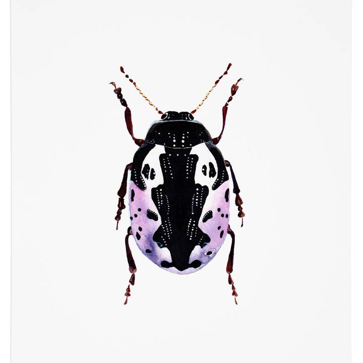 Calligrapha Beetle Art Póster para venta al por mayor de J6R6